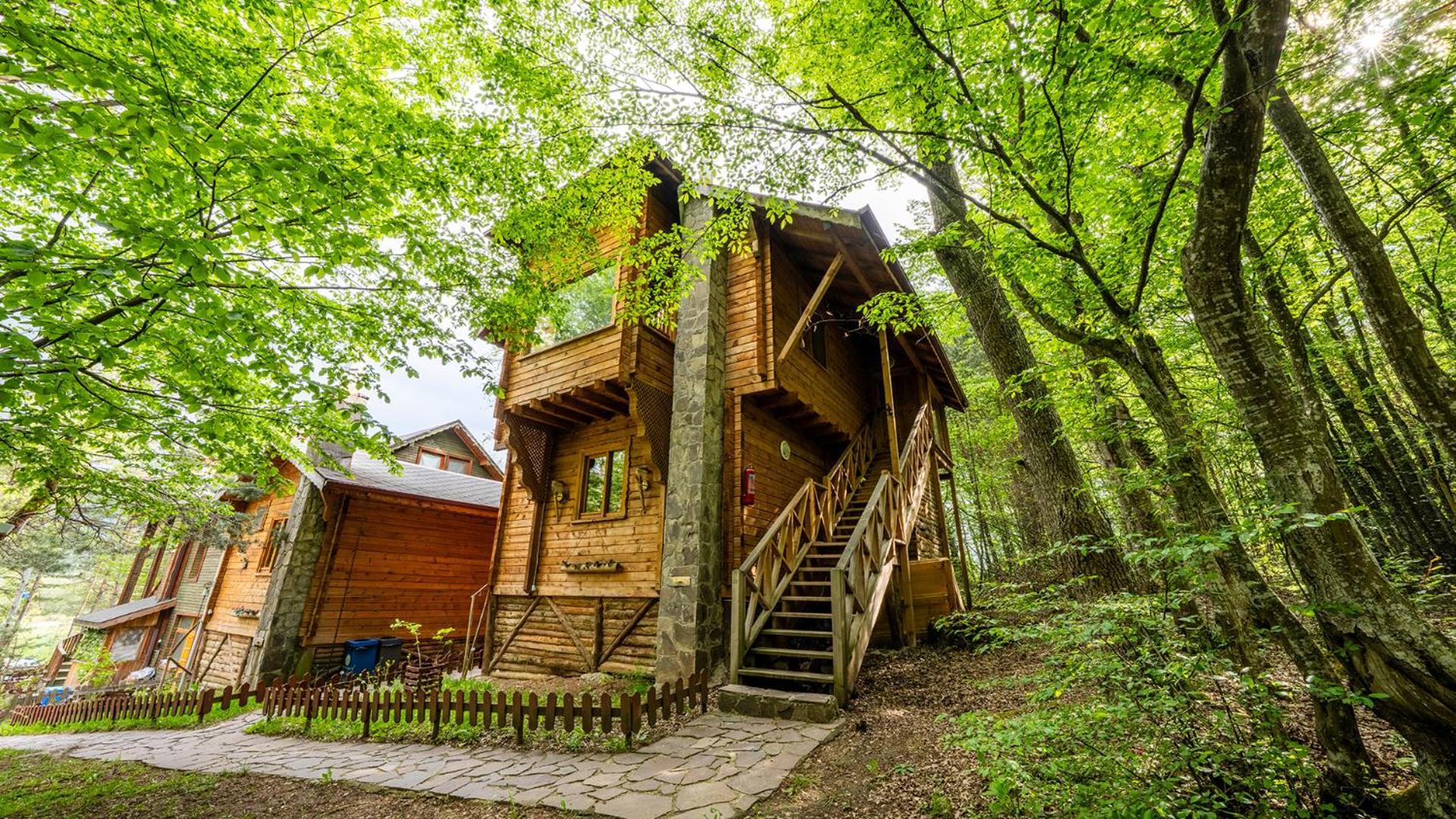 Abant Korudam Bungalov Butik Otel מראה חיצוני תמונה